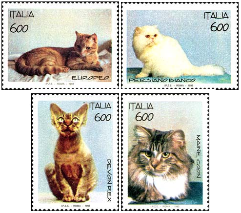 serie-gatti-1993